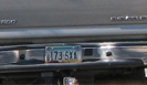 illegal4